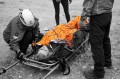 2024-09-21 14.39.51_orange_bw.jpg