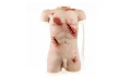 Trauma-Trainer-Torso.webp