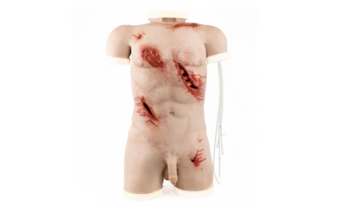 Trauma-Trainer-Torso.webp